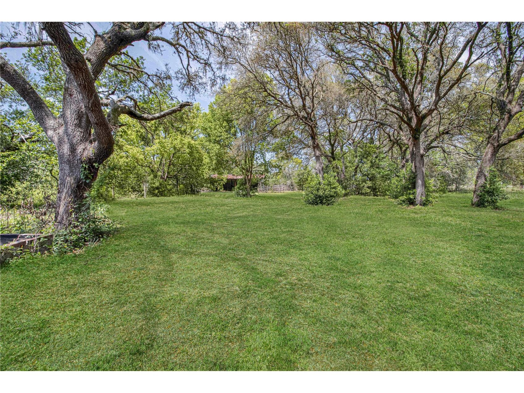 8225 E Highway 25 Belleview FL 34420 OM726523 image43