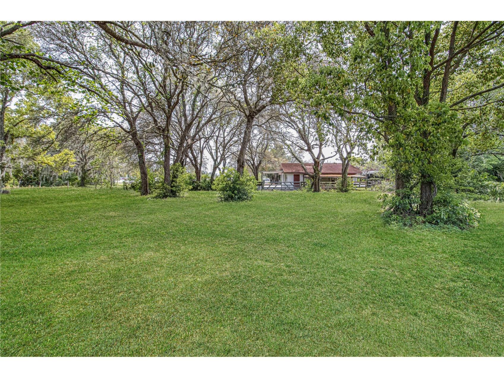 8225 E Highway 25 Belleview FL 34420 OM726523 image46