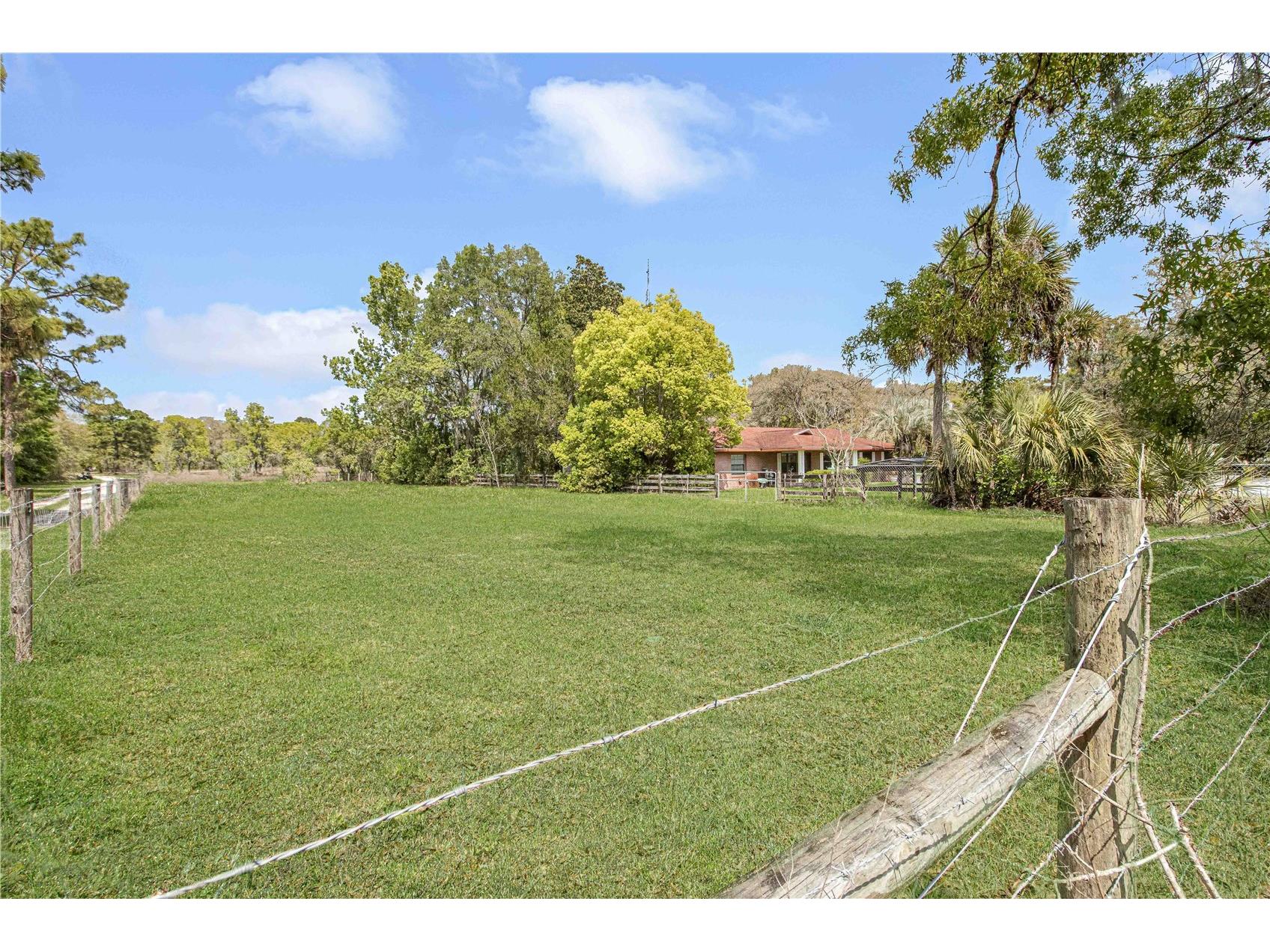 8225 E Highway 25 Belleview FL 34420 OM726523 image65