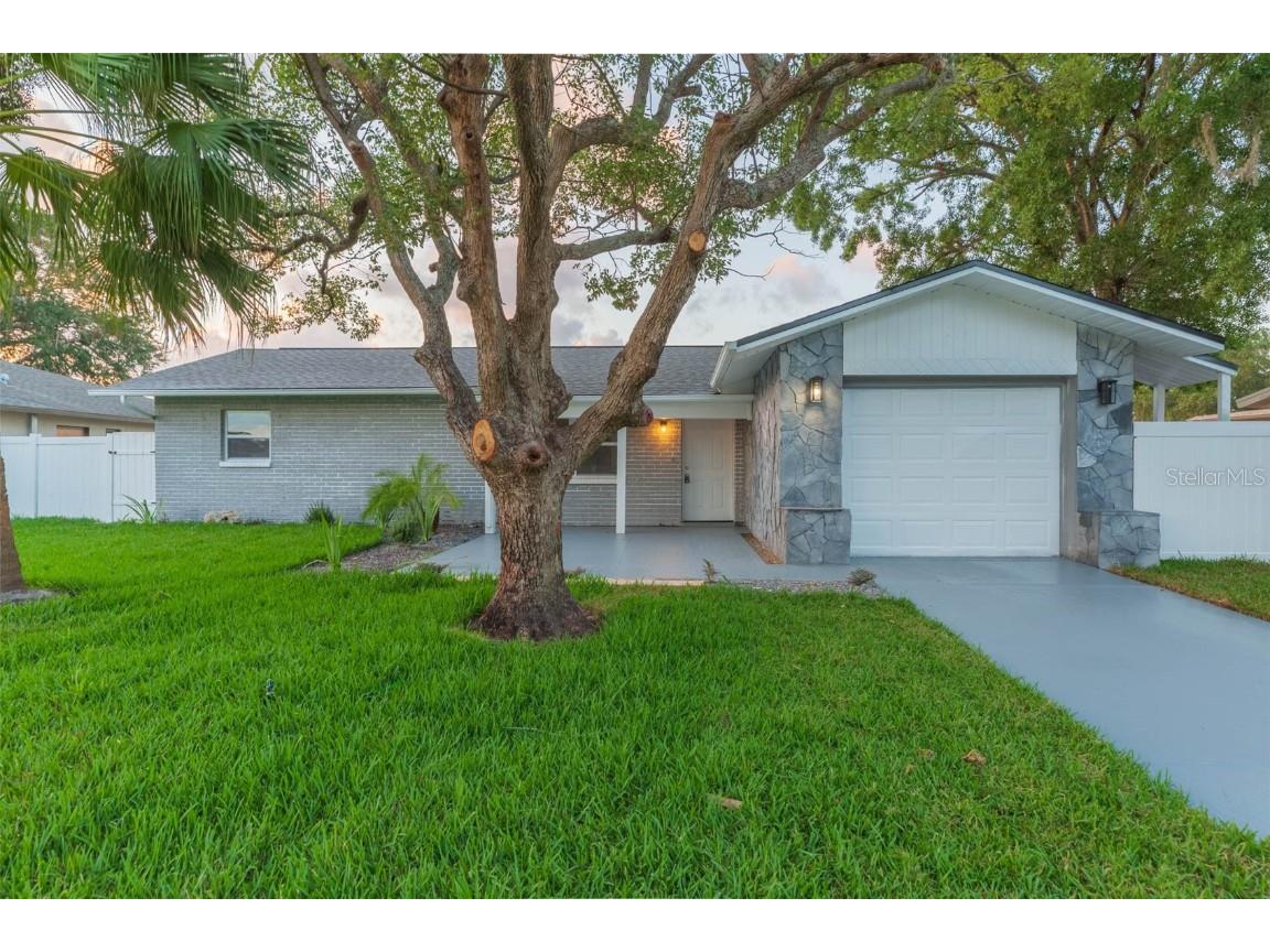 8225 Fishhawk Avenue New Port Richey FL 34653 T3446842 image1