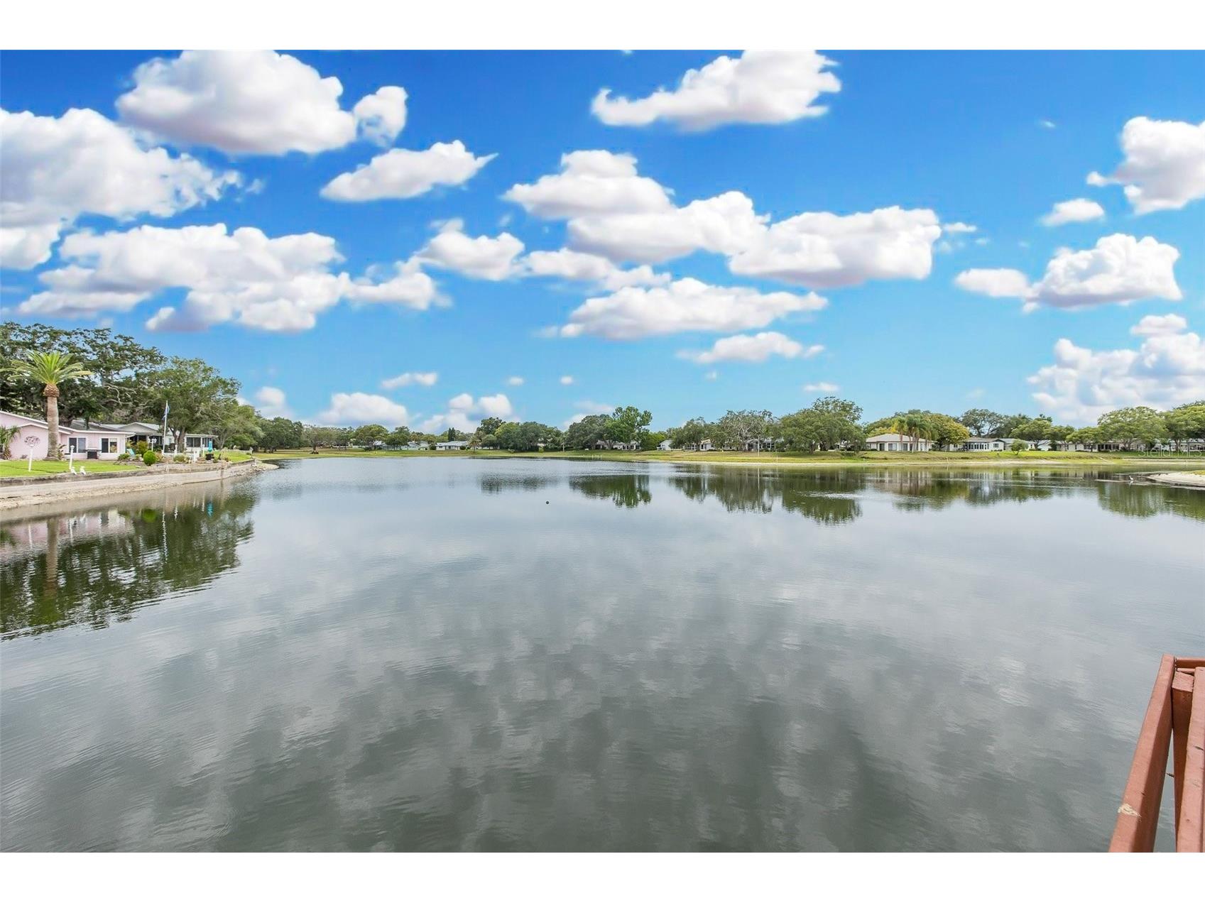 8225 San Felipe Court Port Richey FL 34668 TB8507432 image40