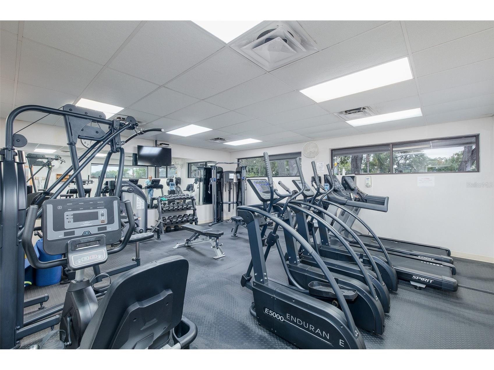 8225 San Felipe Court Port Richey FL 34668 TB8507432 image44