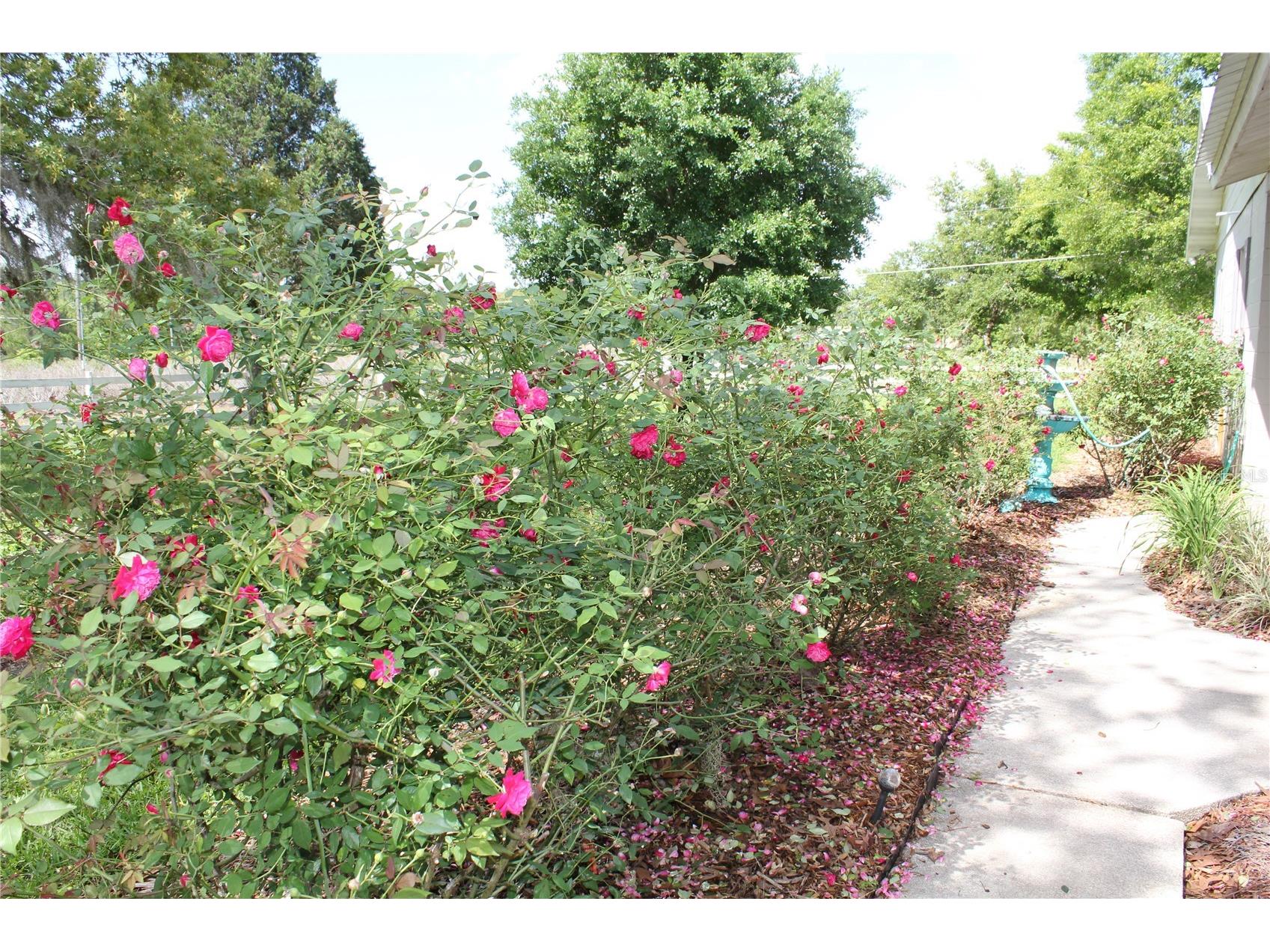 8225 Wakeford Road Lake Wales FL 33898 K4903403 image19