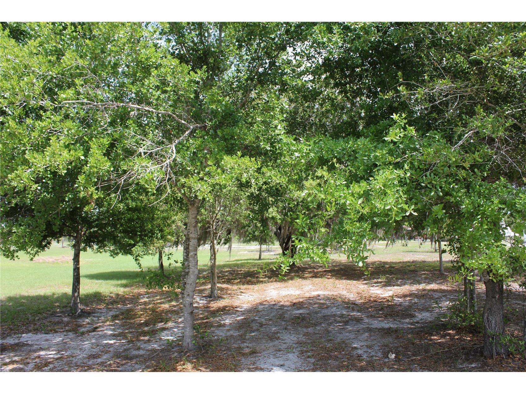 8225 Wakeford Road Lake Wales FL 33898 K4903403 image88