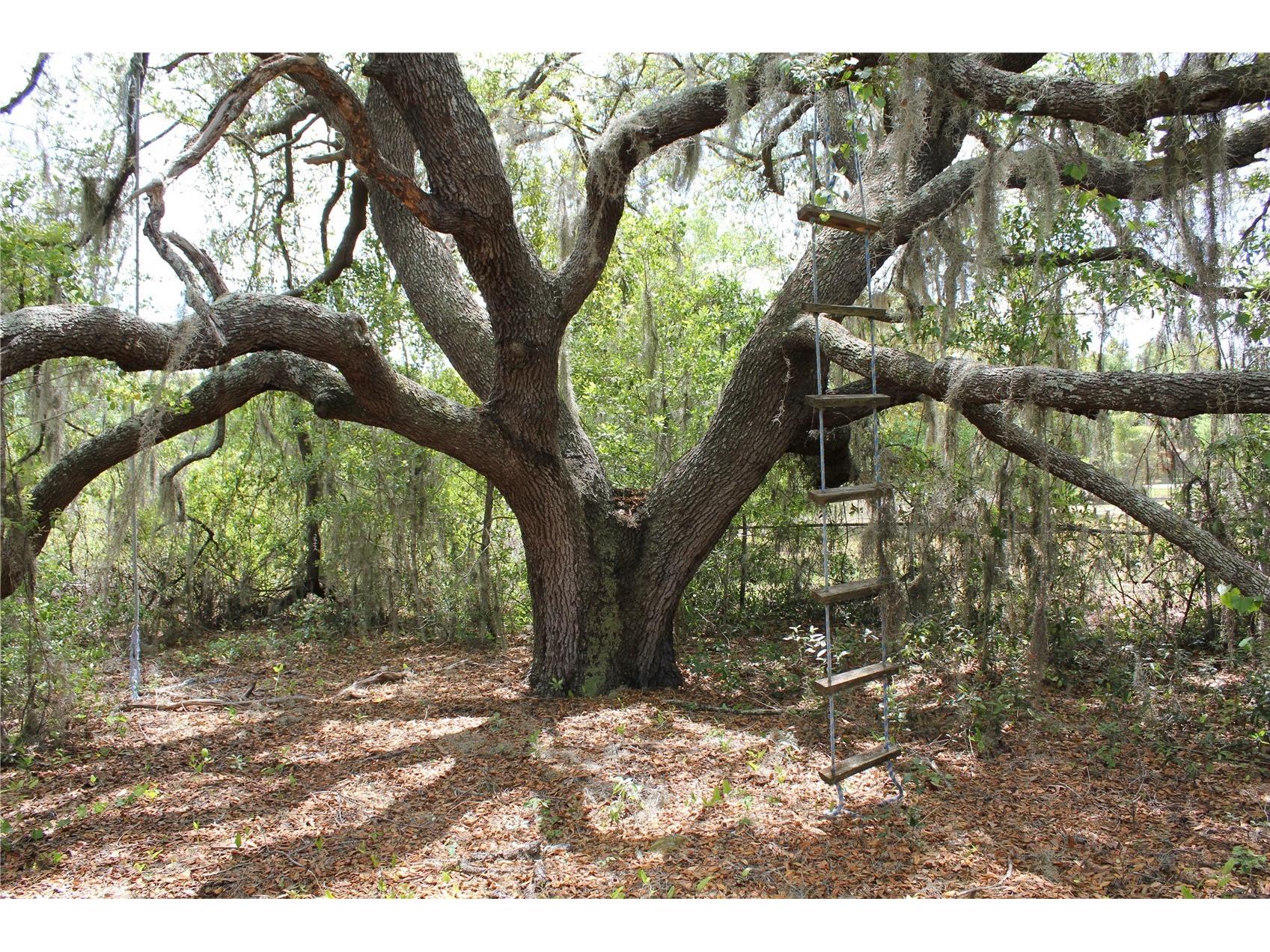 8225 Wakeford Road Lake Wales FL 33898 K4903403 image95