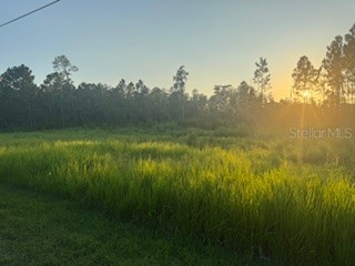 8225 Woodleaf Boulevard Wesley Chapel FL 33544 TB8418815 image1