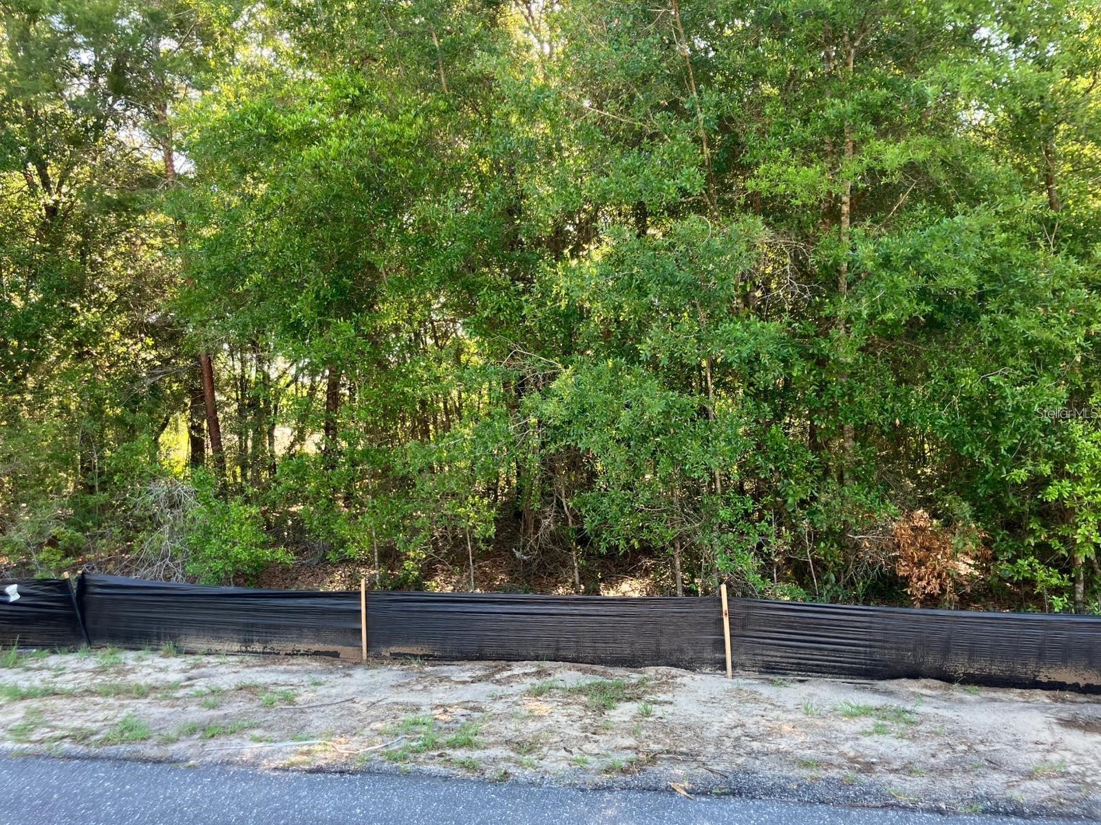 8227 N Galena Avenue Citrus Springs FL 34434 O6399708 image1