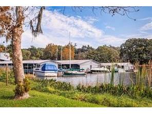 8228 Bridgeport Bay Circle Mount Dora FL 32757 G5110505 image65