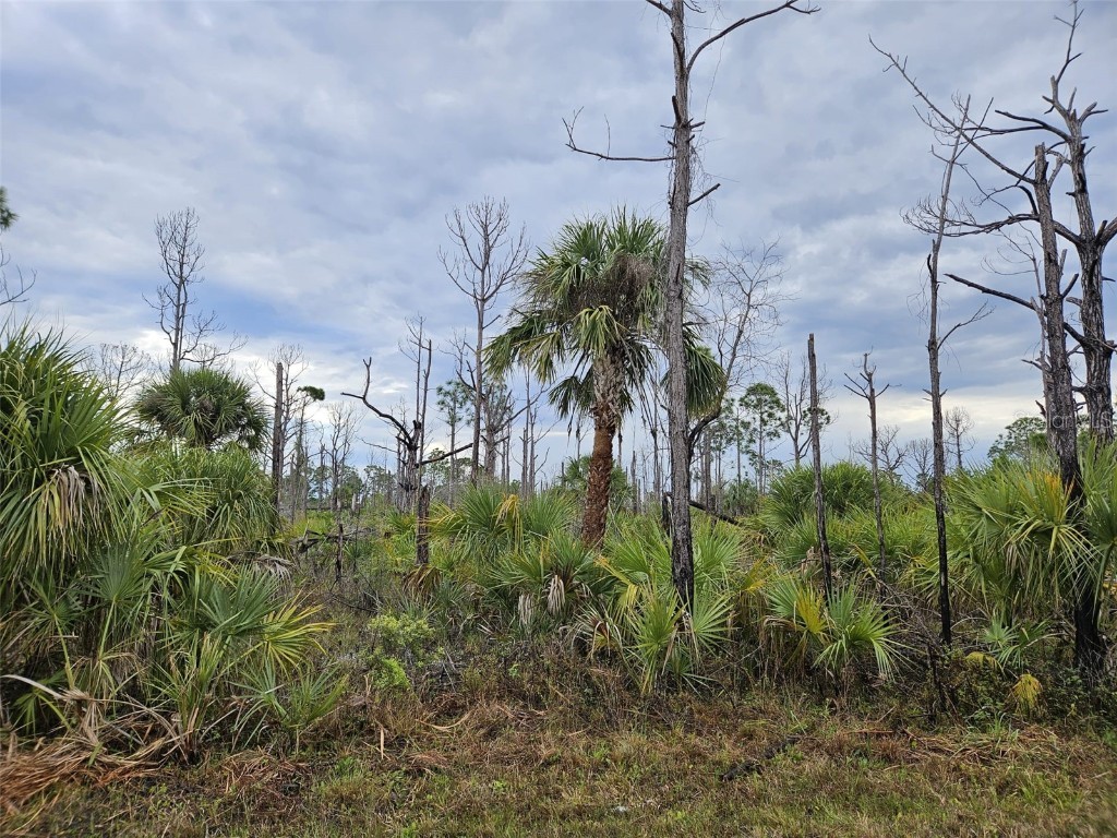 8228 Leafy Way Port Charlotte FL 33981 D6135494 image4