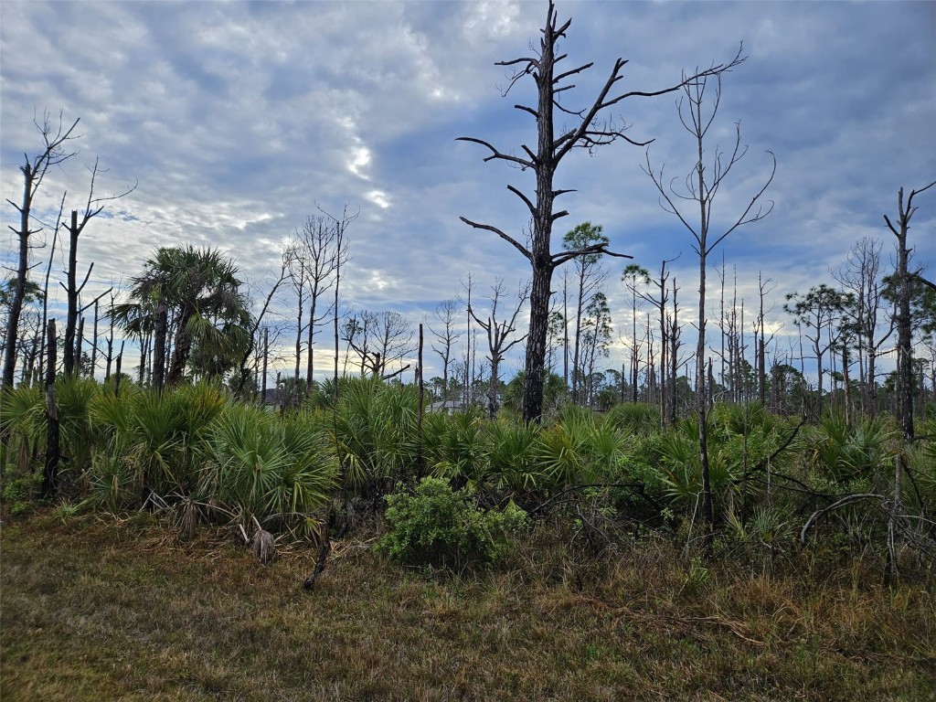 8228 Leafy Way Port Charlotte FL 33981 D6135494 image6