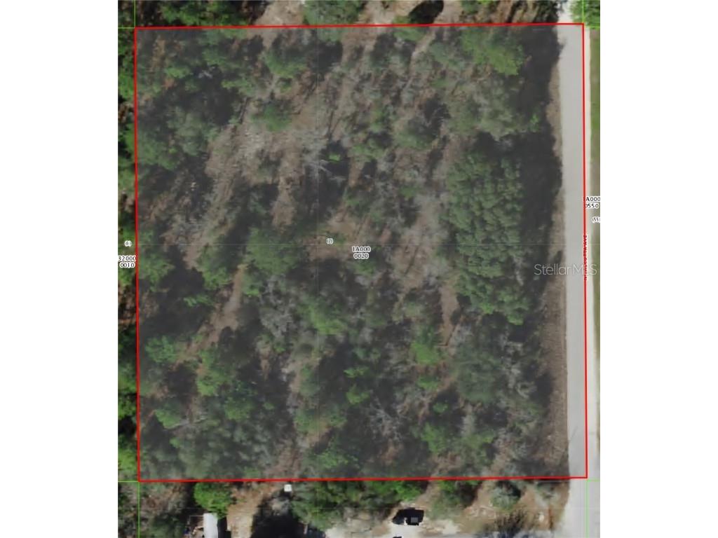 8228 N Calcutta Avenue Dunnellon FL 34433 OM697001 image1