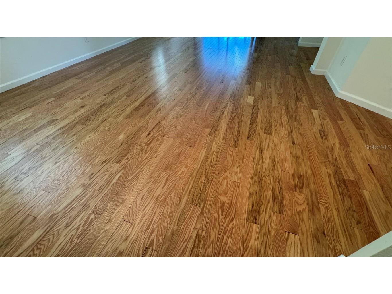 8228 Simpson Falls Court Sarasota FL 34243 A4658021 image8