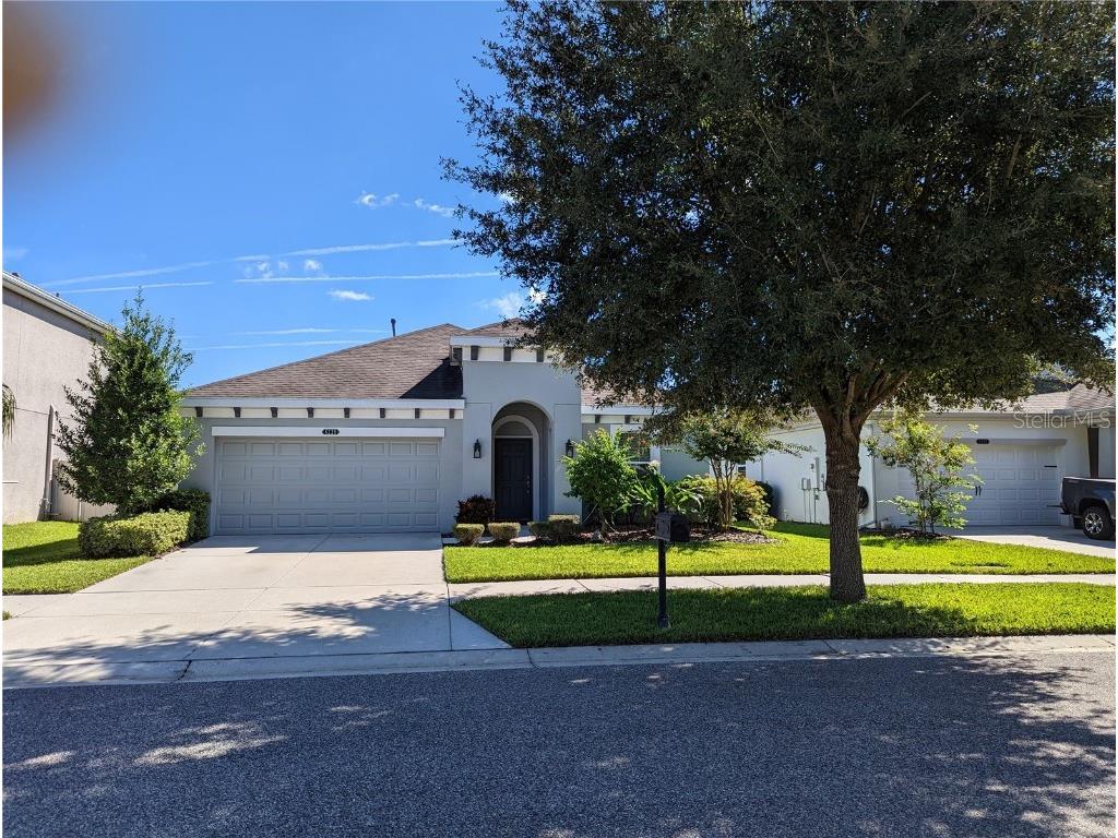 8228 Sunlit Horizon Lane Land O Lakes FL 34637 T3432307 image1