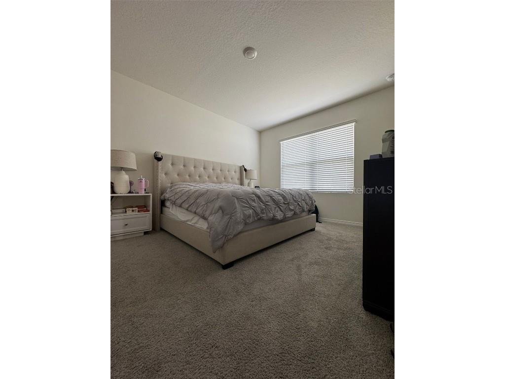 823 Auburn Grove Court Auburndale FL 33823 S5135343 image11