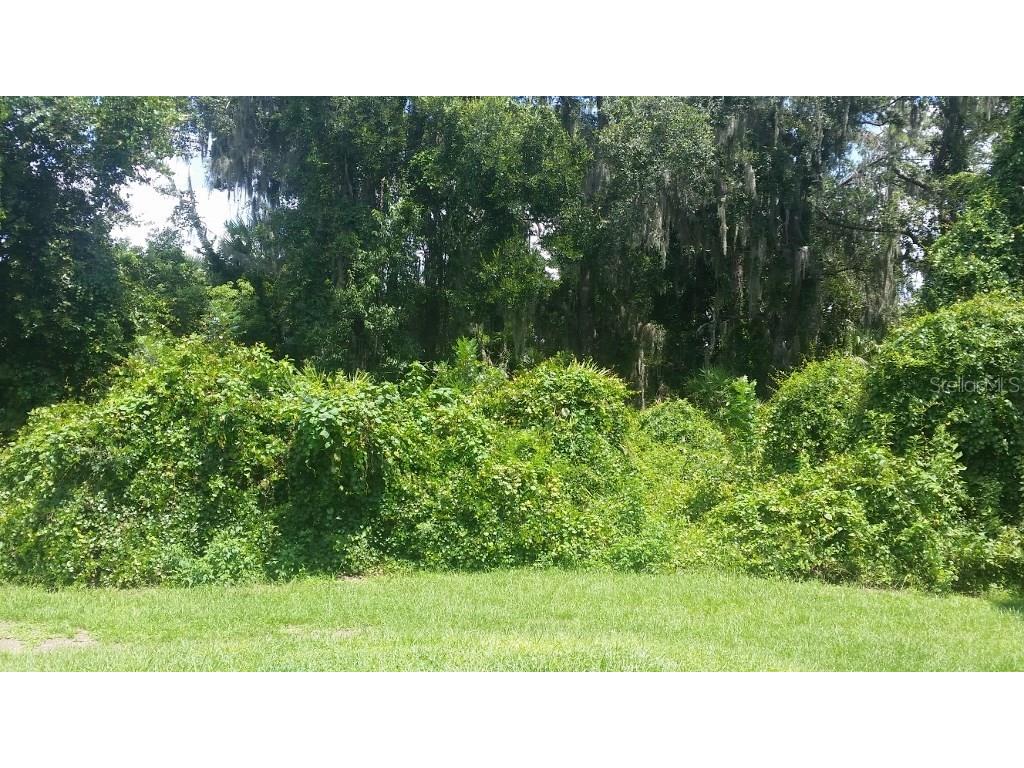 823 Debary Avenue Deltona FL 32725 V4718353 image19