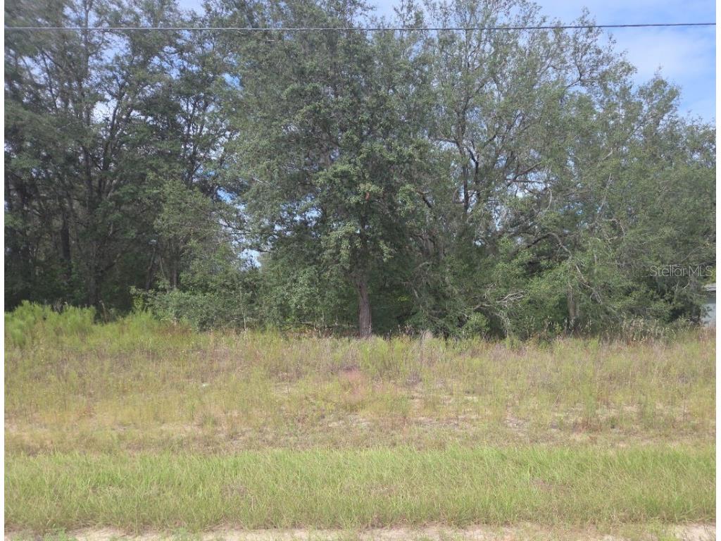 823 E Dellbrook Lane Dunnellon FL 34434 G5102763 image1