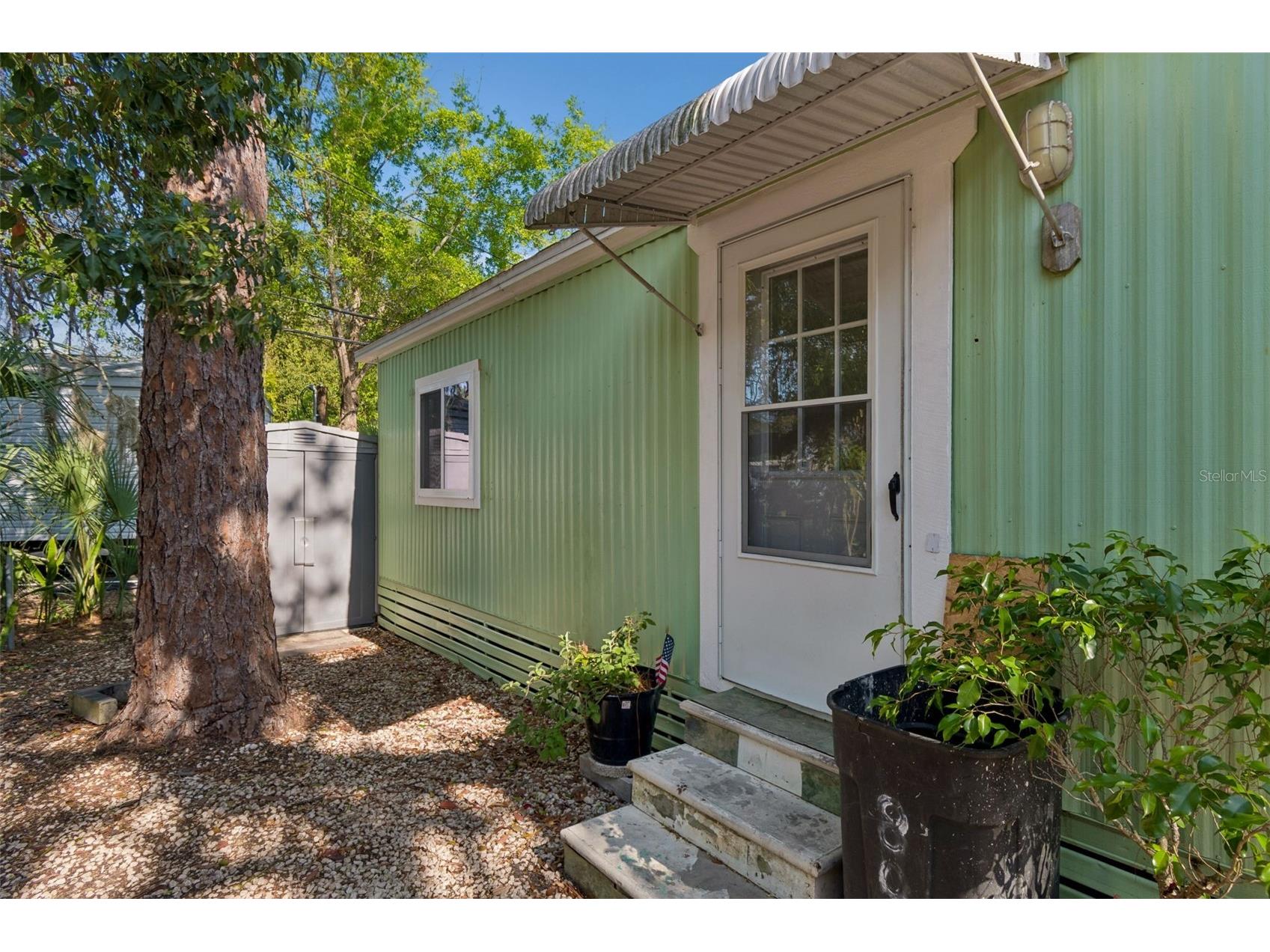 823 Elkan Drive Tarpon Springs FL 34689 TB8488167 image1