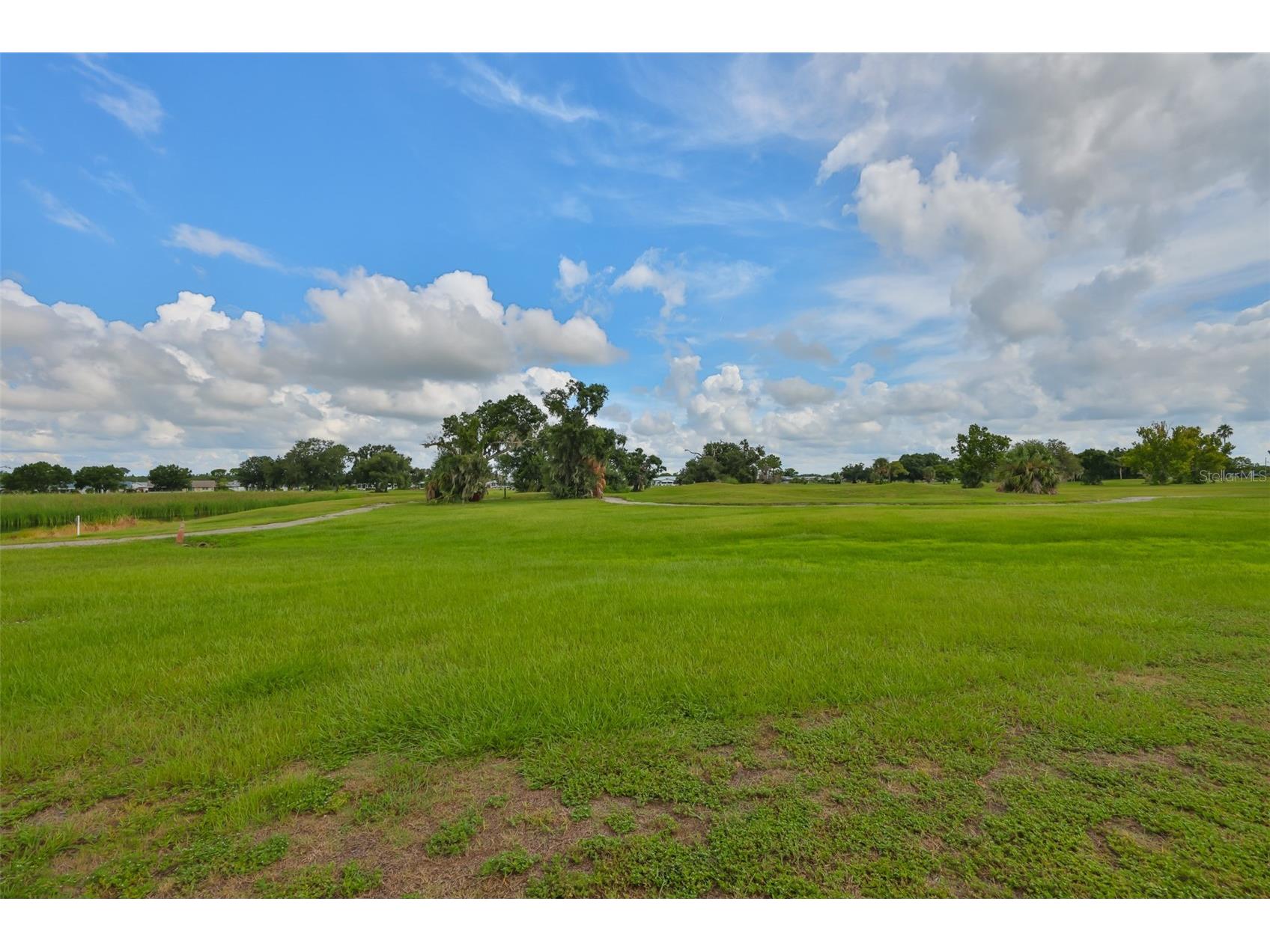 823 Fox Hills Drive Sun City Center FL 33573 TB8413055 image27