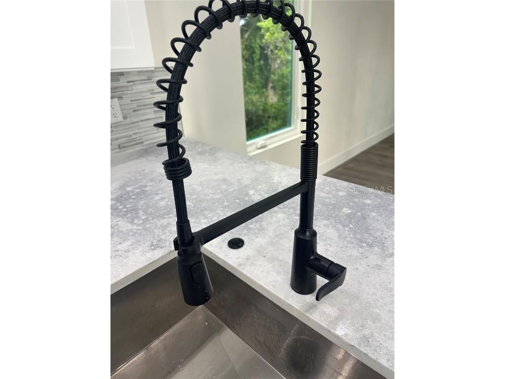 823 La Salle Avenue Orlando FL 32803 O6314201 image10