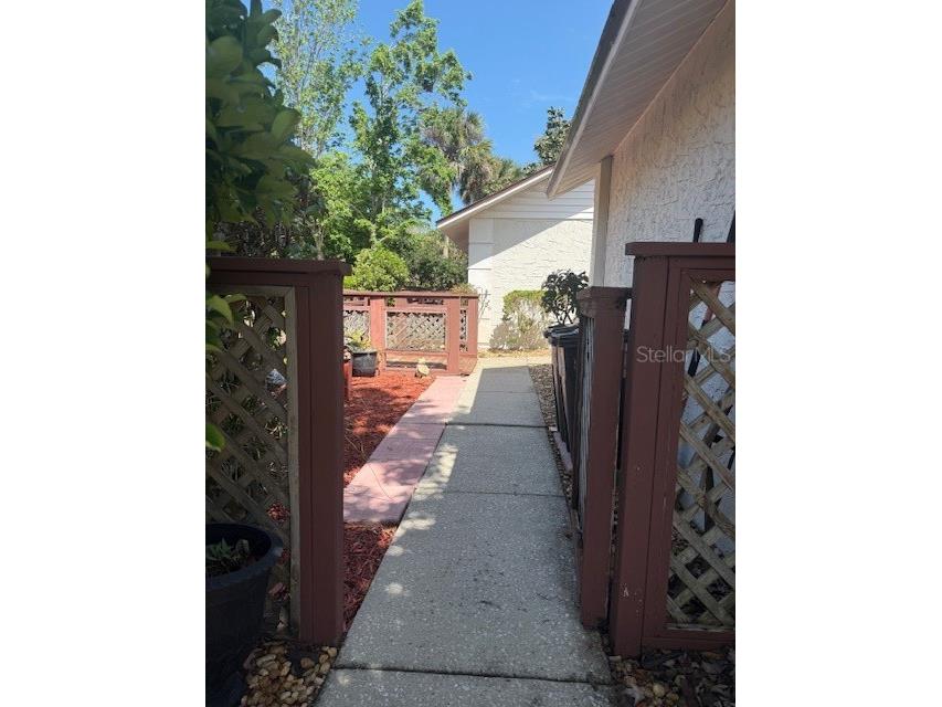 823 Long Meadow Court Port Orange FL 32127 TB8497974 image32