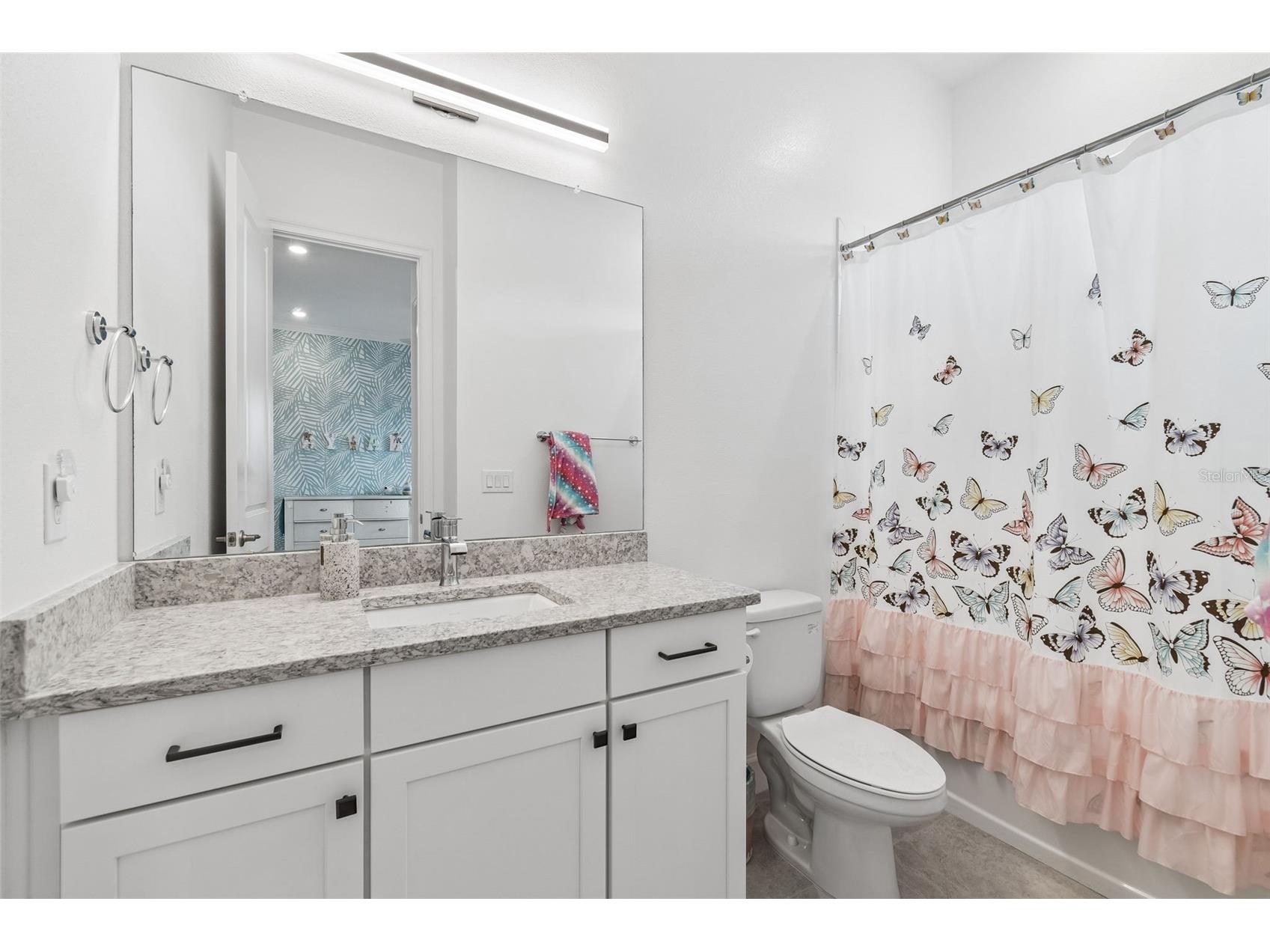 823 Manns Harbor Drive Apollo Beach FL 33572 TB8515336 image53