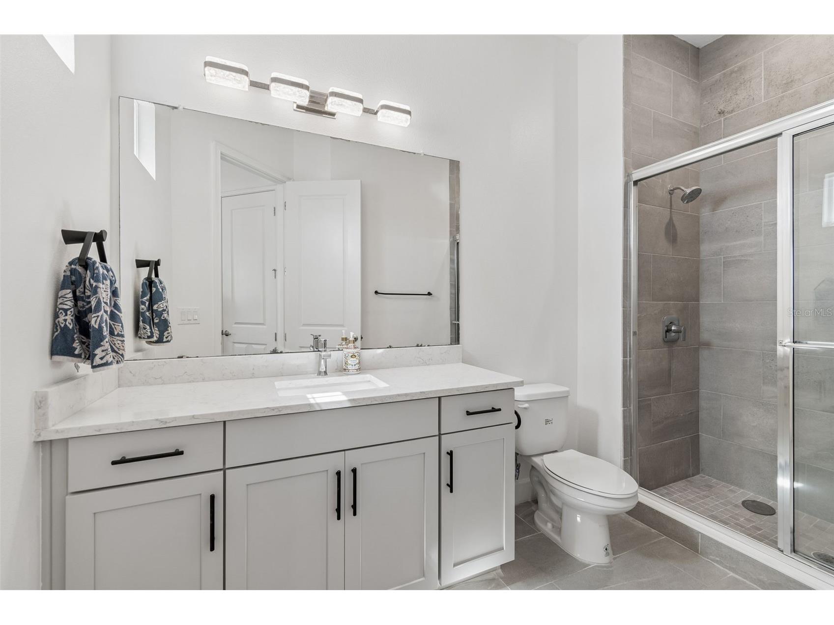 823 Manns Harbor Drive Apollo Beach FL 33572 TB8515336 image59