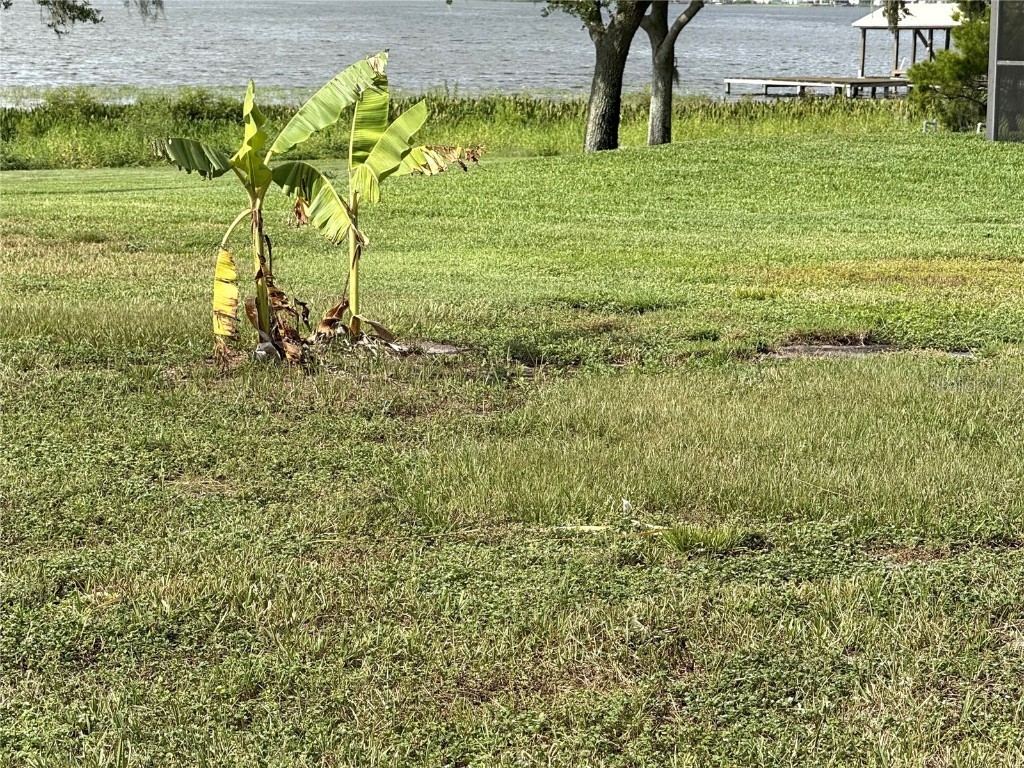 823 N Lake Reedy Boulevard Frostproof FL 33843 - LAKE REEDY K4903041 image32