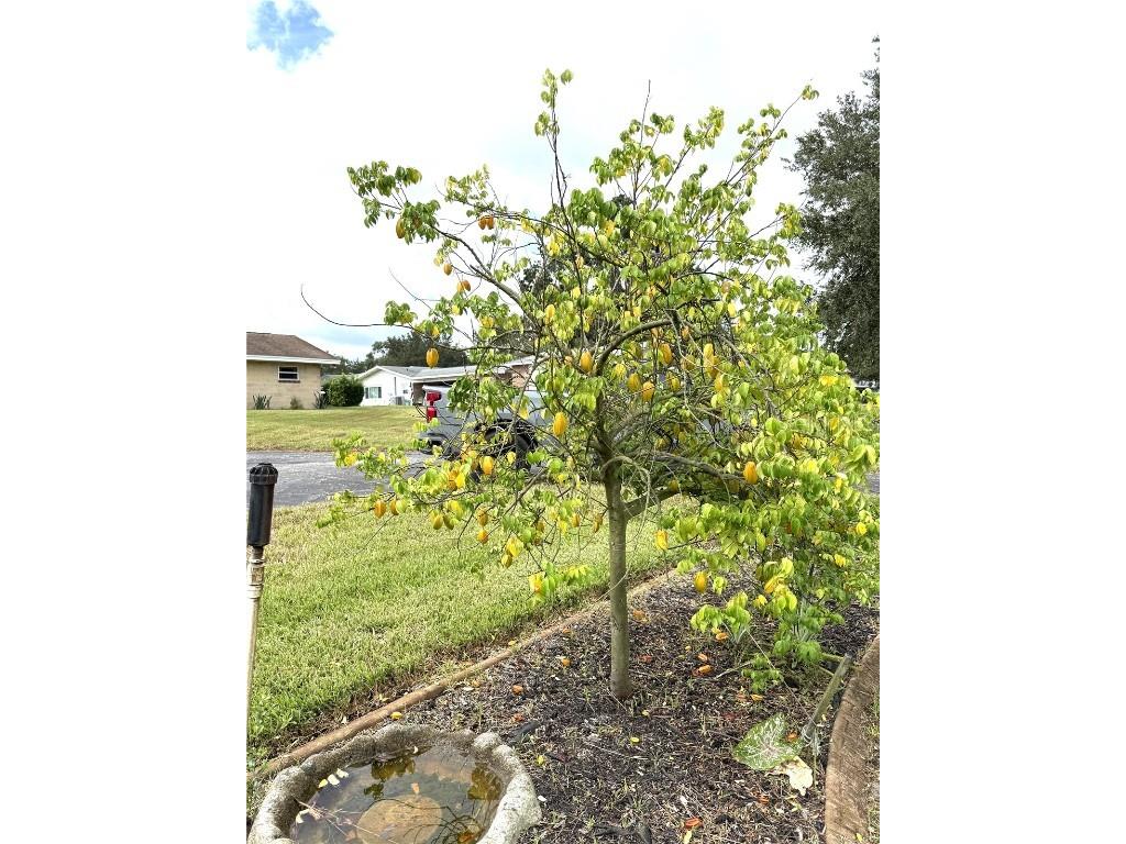 823 N Lake Reedy Boulevard Frostproof FL 33843 - LAKE REEDY K4903041 image36