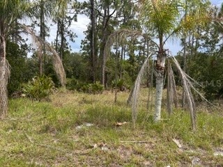 823 Pandora (Blk 217 Lot 13) Drive Indian Lake Estates FL 33855 TB8524891 image1