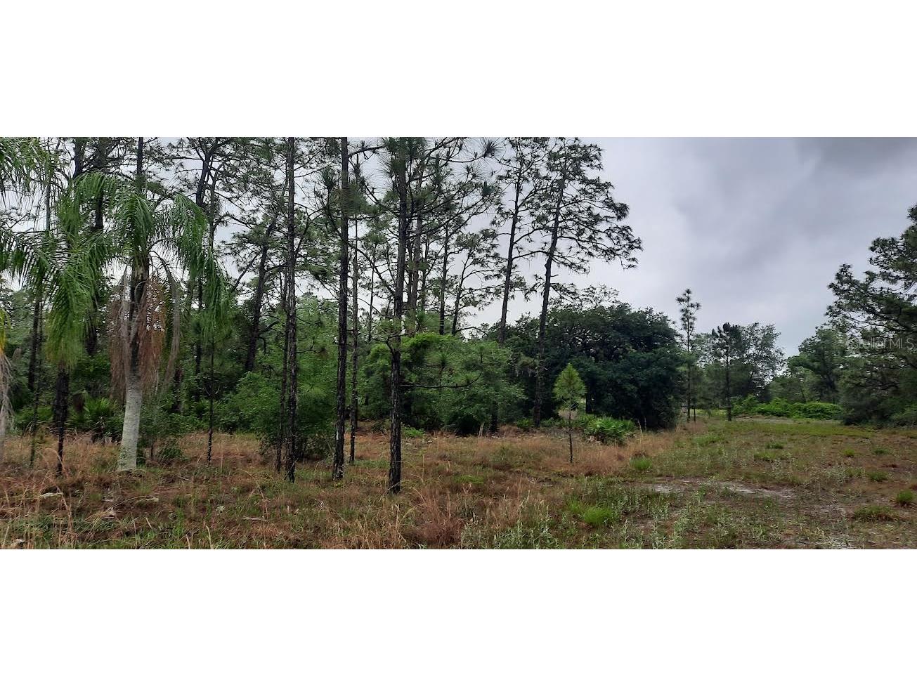 823 Pandora Drive Indian Lake Estates FL 33855 - LAKE WALK-IN-WATER TB8383516 image1