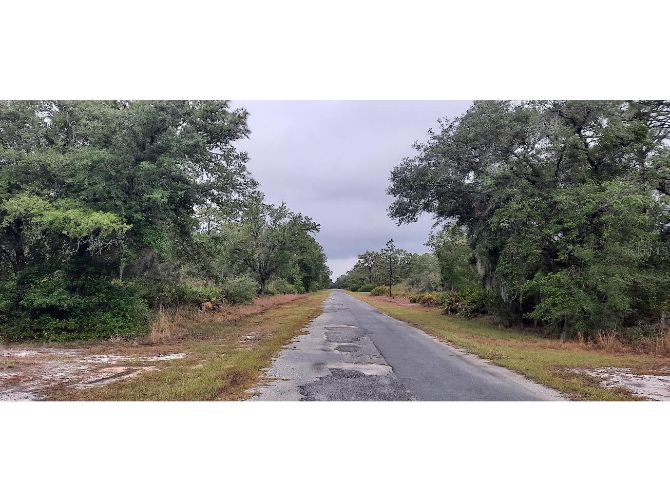 823 Pandora Drive Indian Lake Estates FL 33855 - LAKE WALK-IN-WATER TB8383516 image3