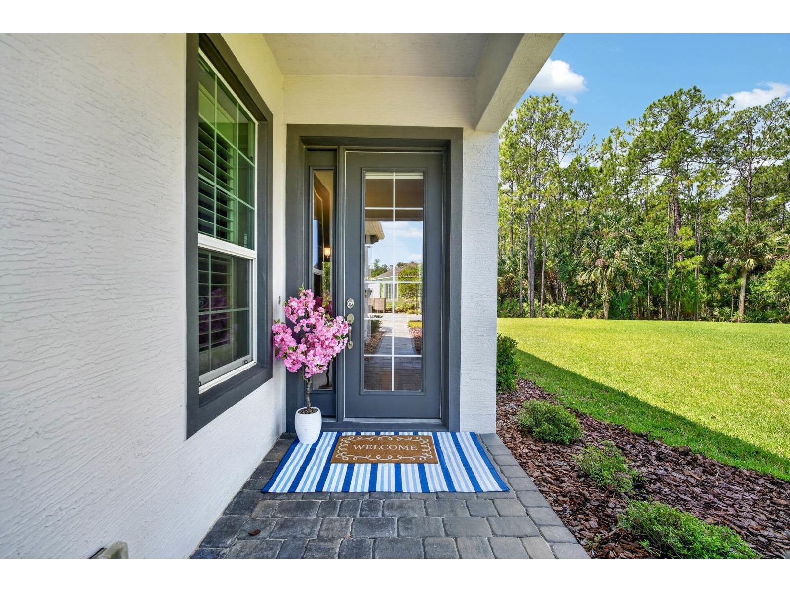 823 Pinewood Drive Ormond Beach FL 32174 V4949200 image2