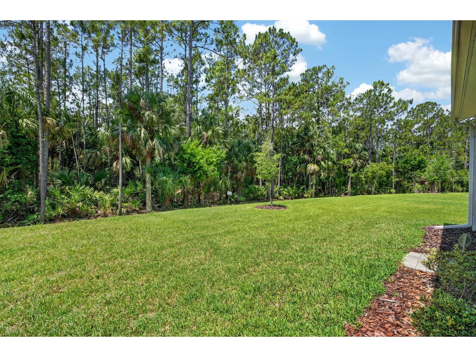 823 Pinewood Drive Ormond Beach FL 32174 V4949200 image28
