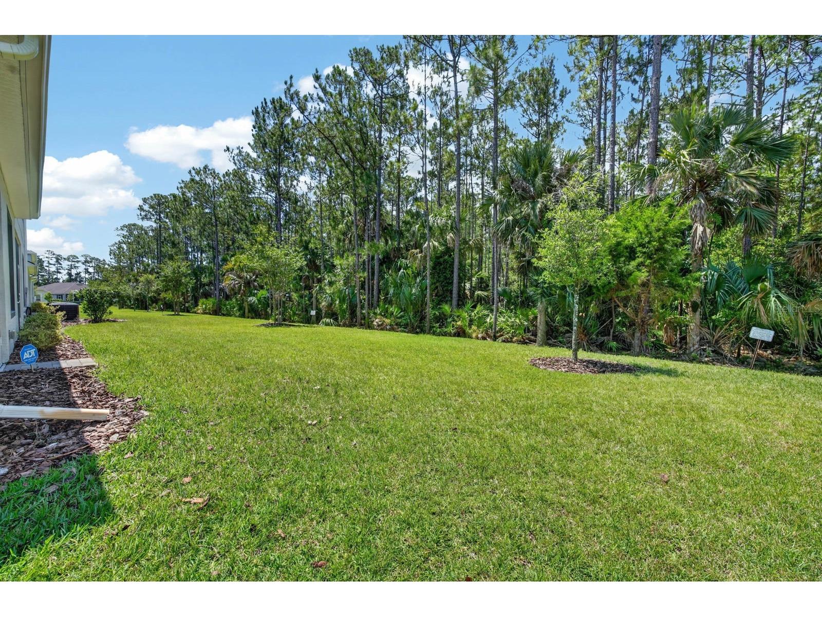 823 Pinewood Drive Ormond Beach FL 32174 V4949200 image29