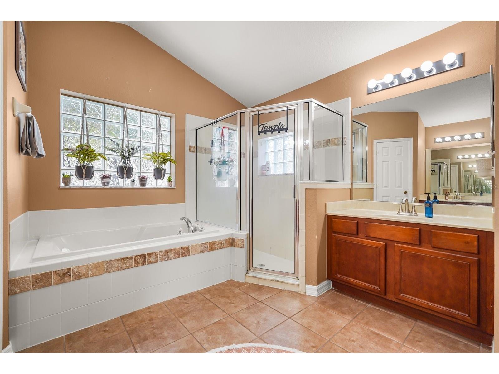 823 Princeton Drive Clermont FL 34711 O6403494 image28