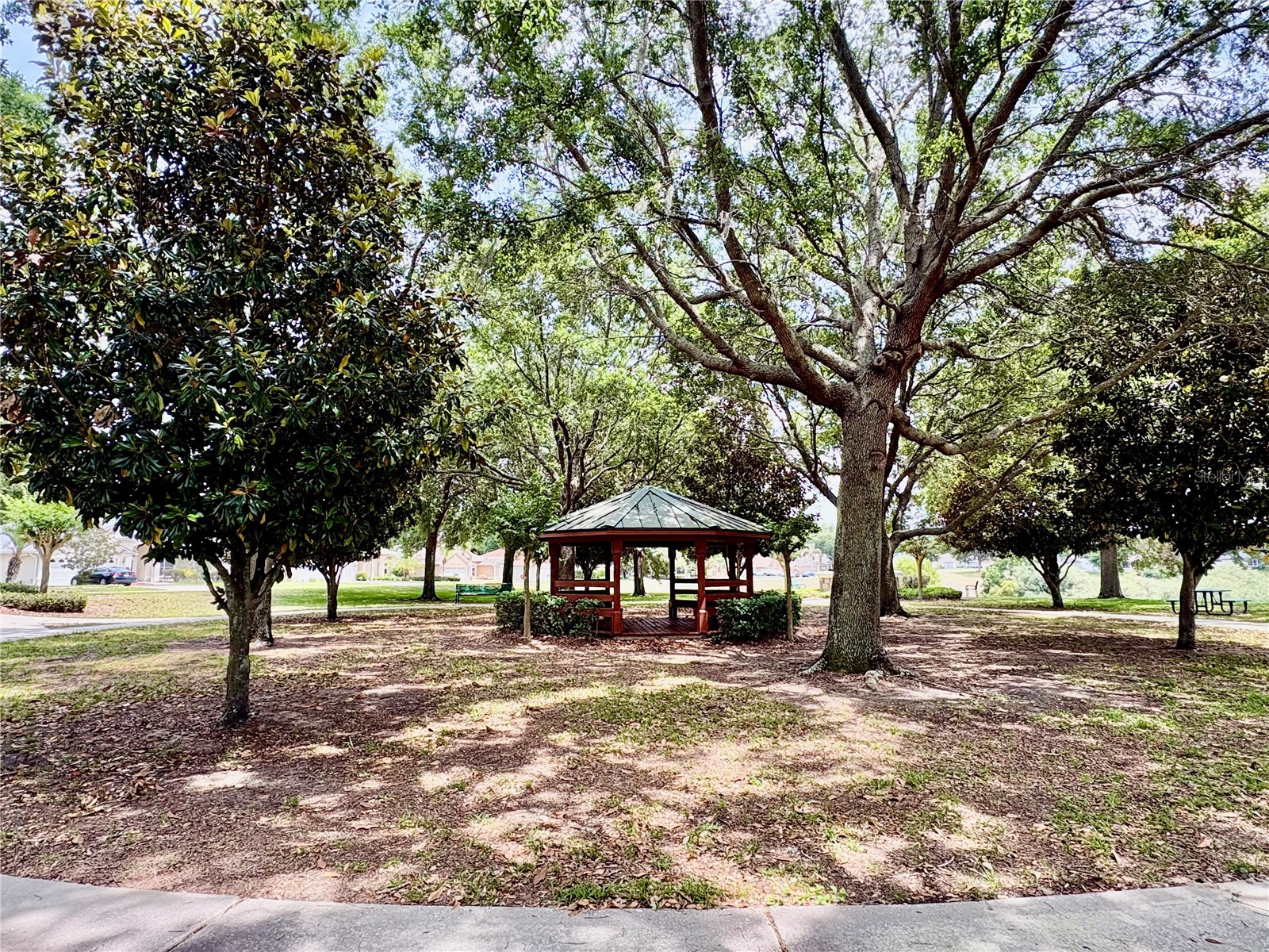 823 Princeton Drive Clermont FL 34711 O6403494 image42