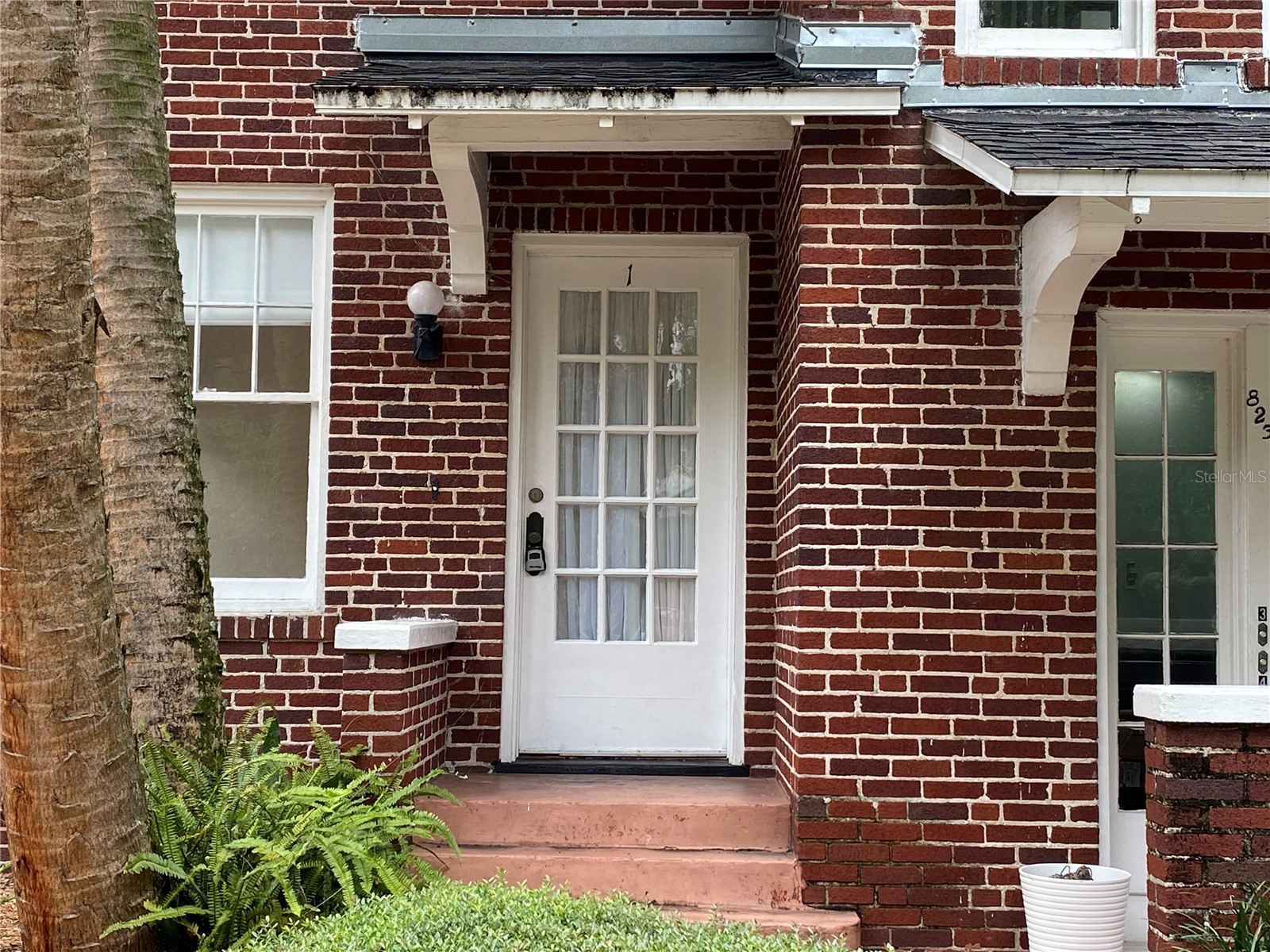 823 S Oregon Avenue #1 Tampa FL 33606 TB8529183 image1