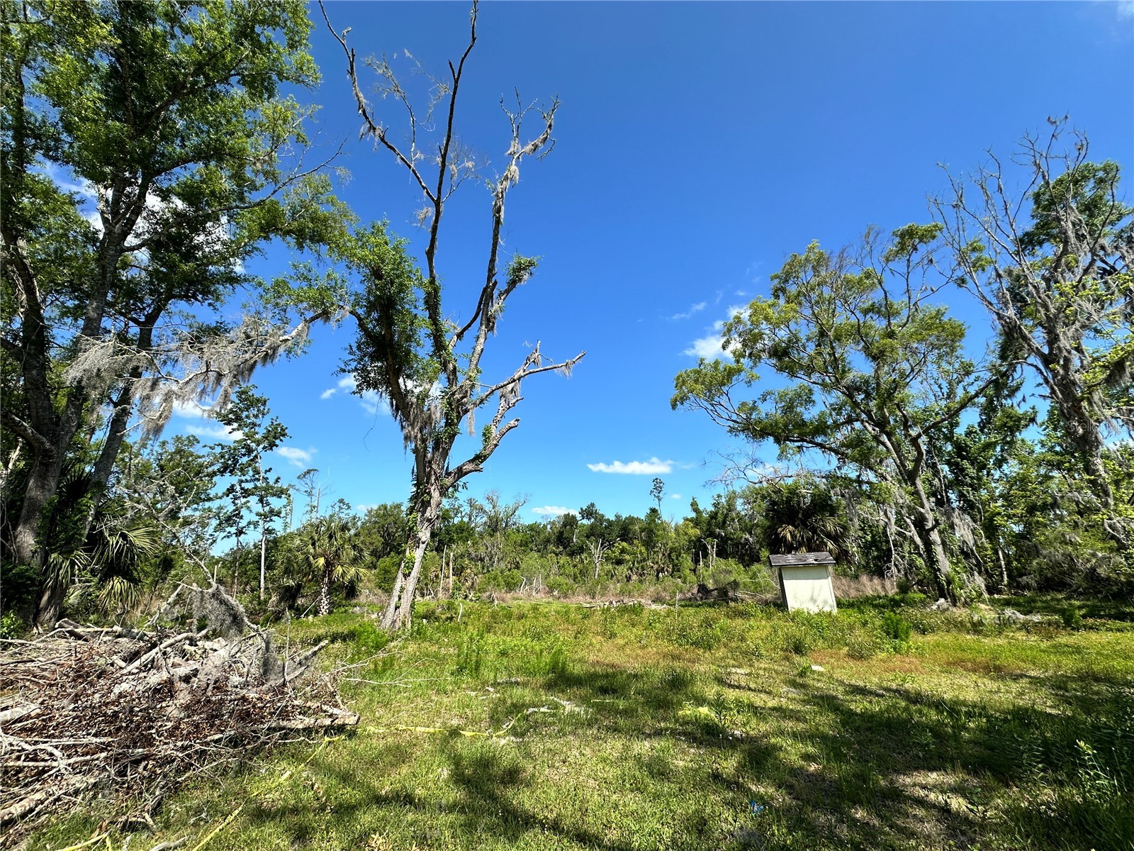 823 S Warner Avenue Perry FL 32348 OM720269 image29