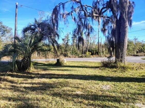 823 S Warner Avenue Perry FL 32348 OM720269 image7