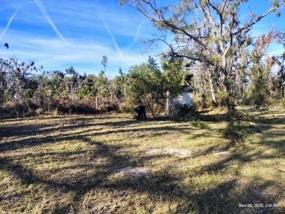 823 S Warner Avenue Perry FL 32348 OM720269 image8