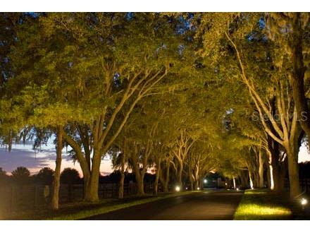 823 SE 116th Place Road Ocala FL 34480 OM670287 image4