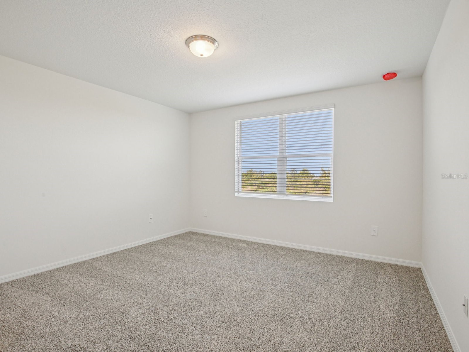 823 Sunshower Drive Lady Lake FL 32159 TB8510554 image7
