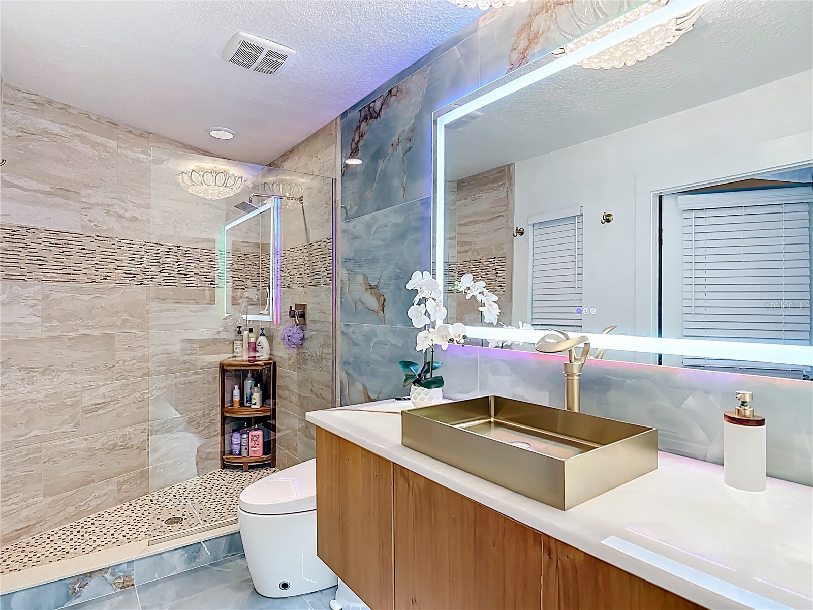 823 SW Kings Bay Drive Crystal River FL 34429 - THREE SISTERS SPRINGS TB8467854 image44