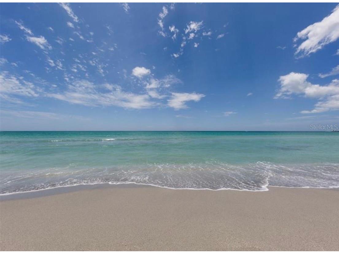 823 Wexford Boulevard #823 Venice FL 34293 A4689408 image53
