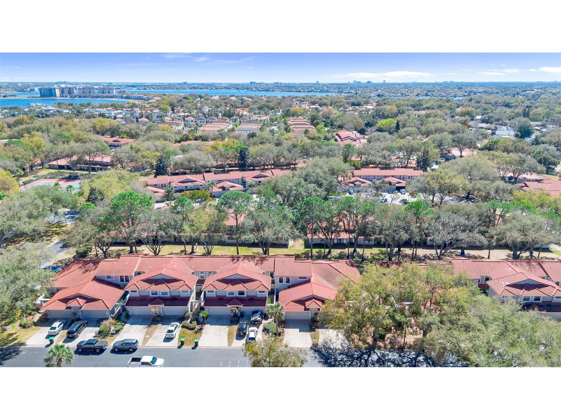 8230 Ambrose Cove Way Orlando FL 32819 O6385454 image7