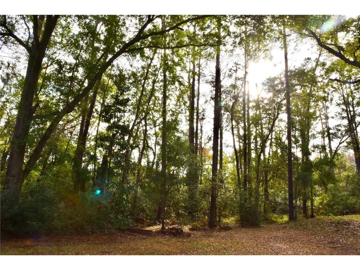 8230 Lenox Avenue Jacksonville FL 32221 OM714618 image23