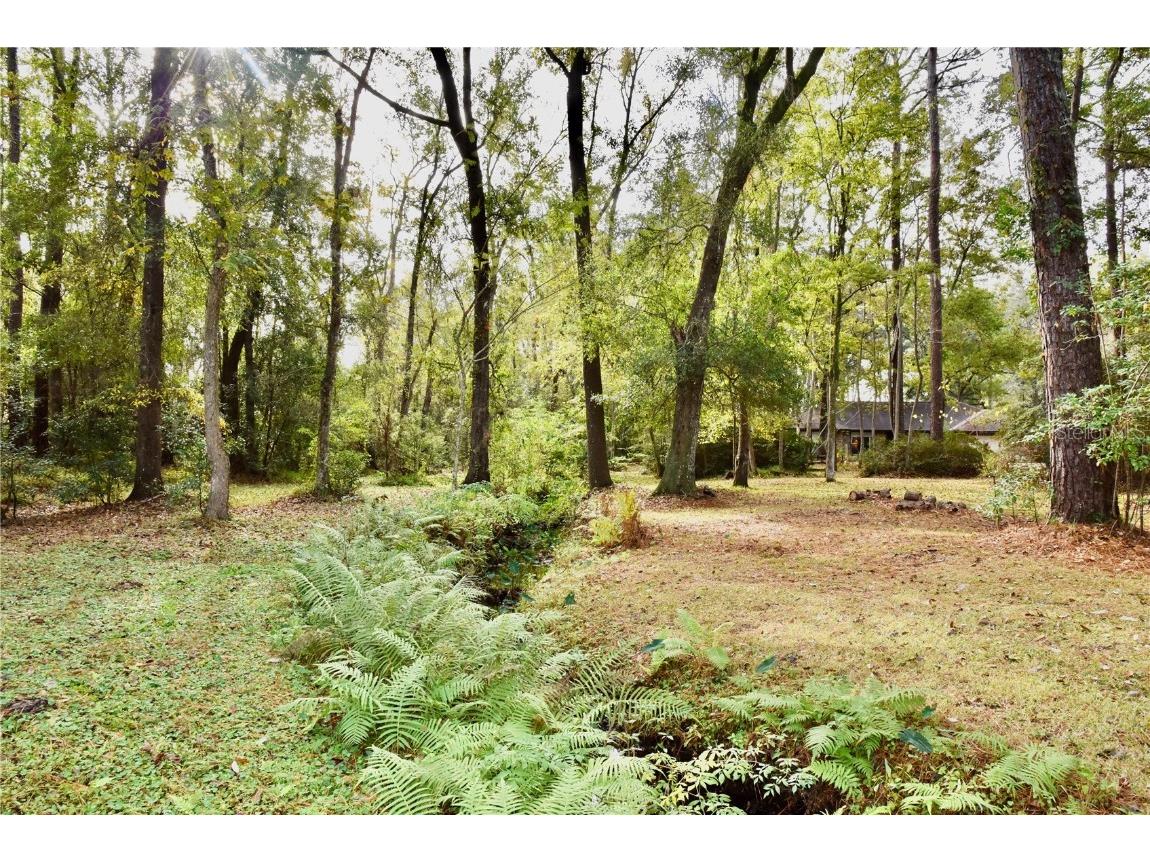 8230 Lenox Avenue Jacksonville FL 32221 OM714618 image24