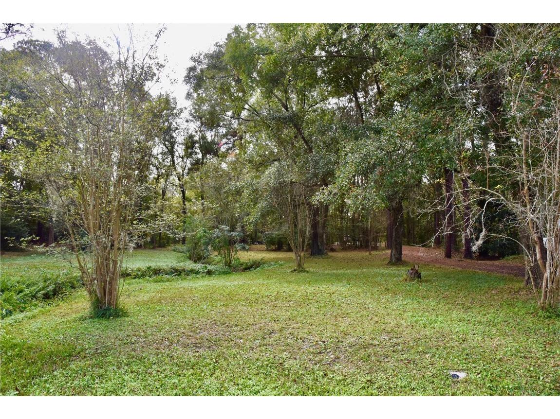 8230 Lenox Avenue Jacksonville FL 32221 OM714618 image26