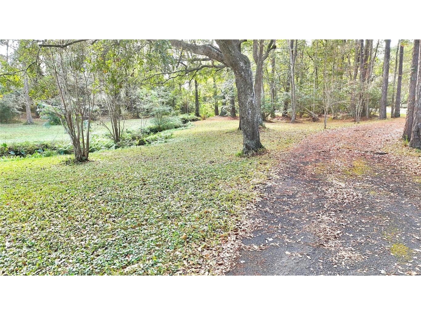 8230 Lenox Avenue Jacksonville FL 32221 OM714618 image6