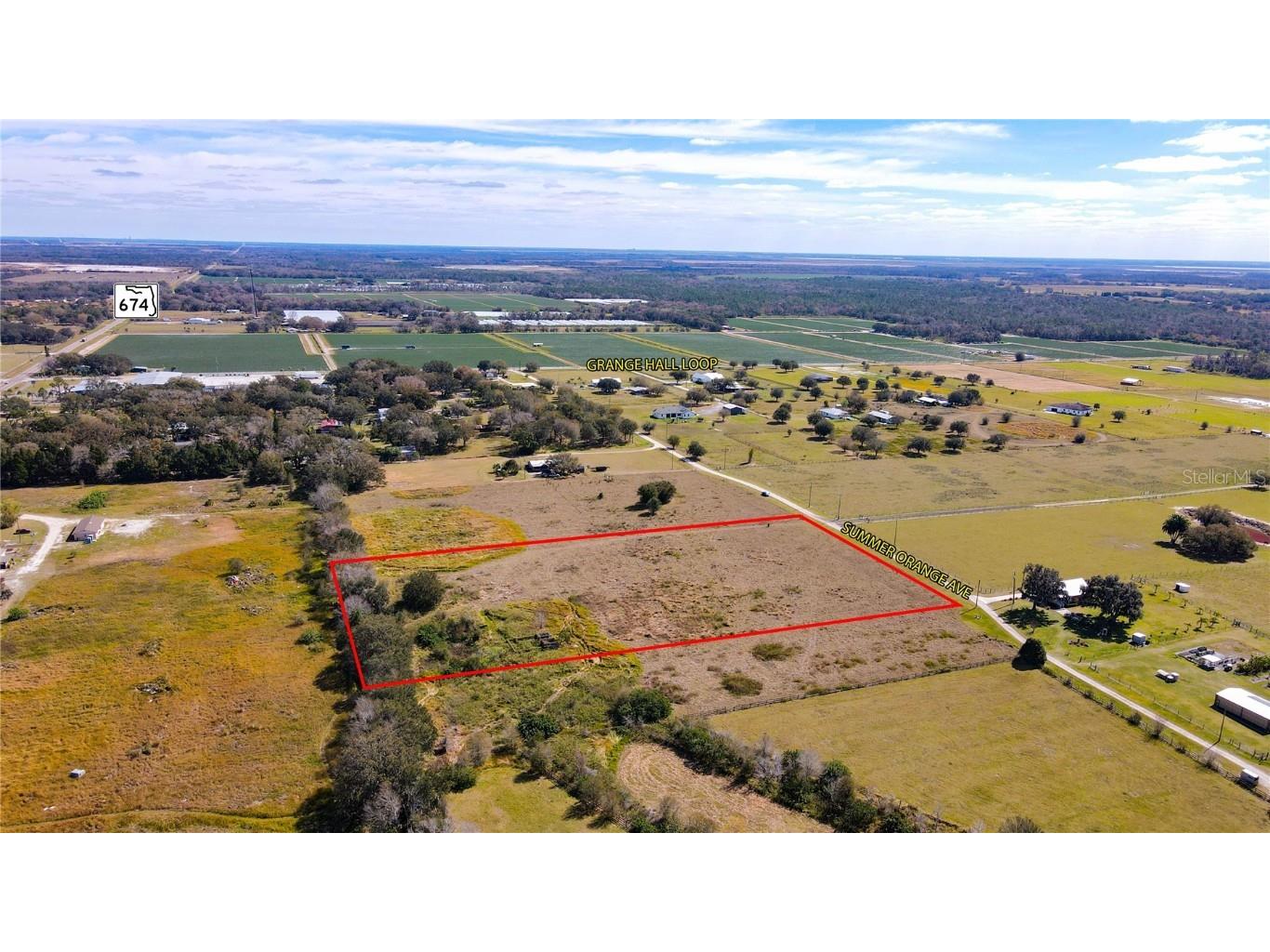 8230 Summer Orange Avenue Wimauma FL 33598 T3504918 image1